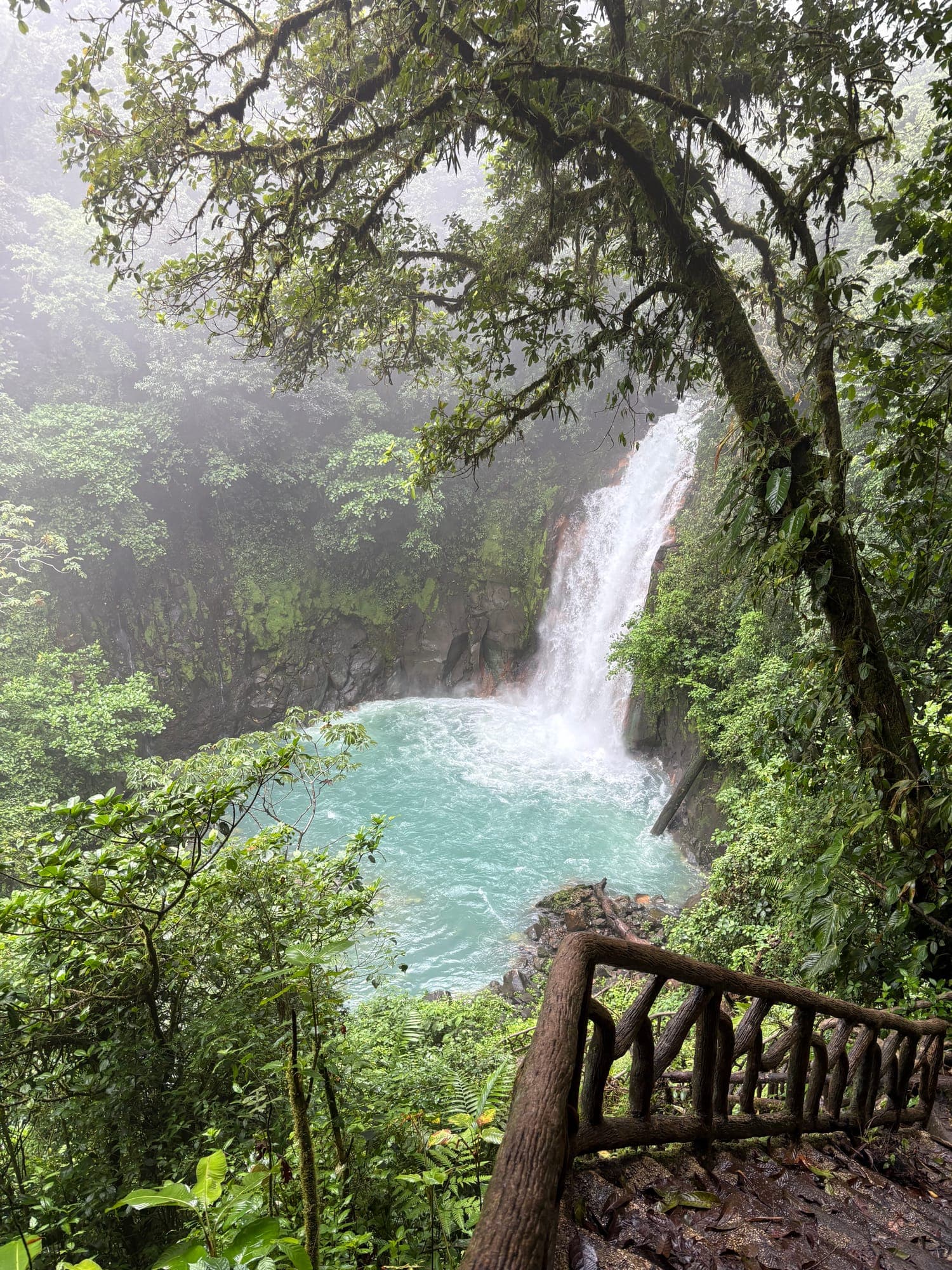 Waterfall pouring into a turquoise pool in the rainforest
